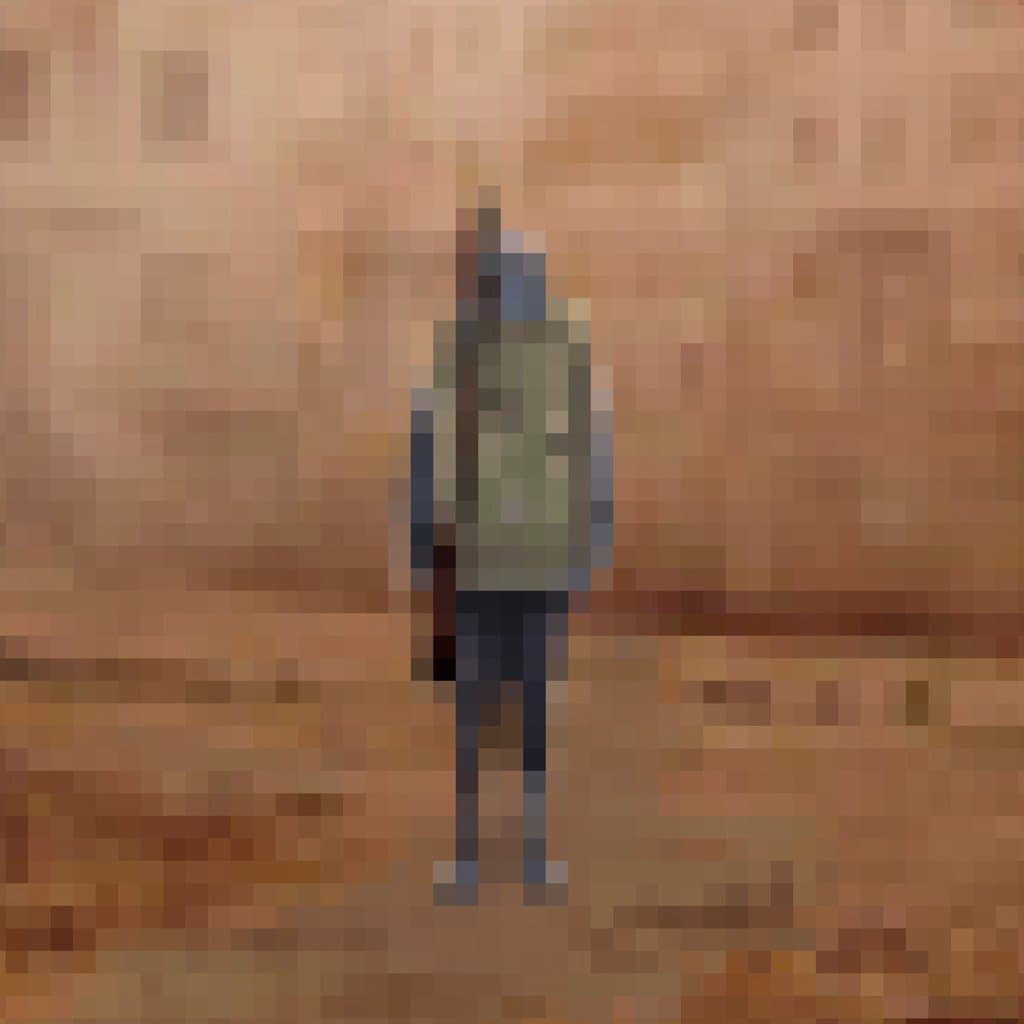 Blurry image of a person standing against a desert background